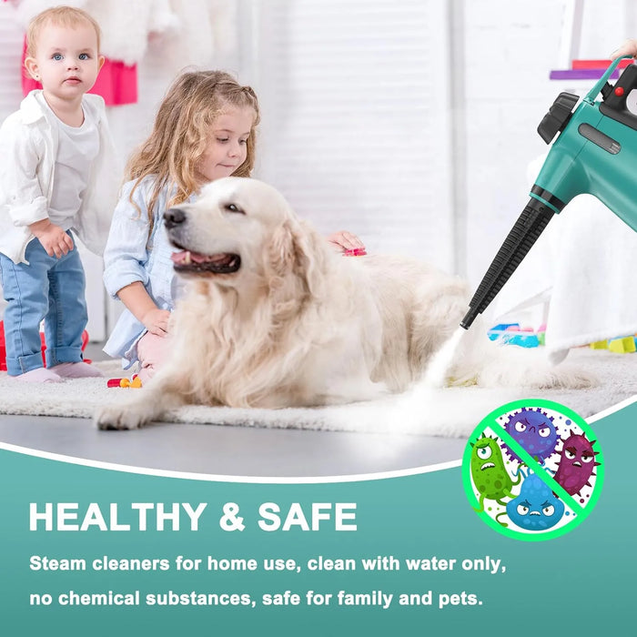 Portable Natural Steam Cleaner