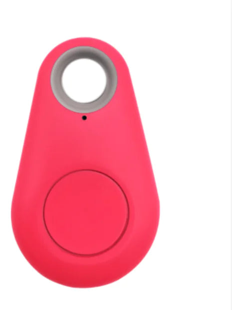 Pet Smart GPS Tracker