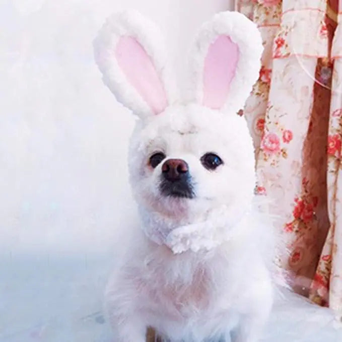 Bunny Rabbit Costume For Cat And Small Dogs