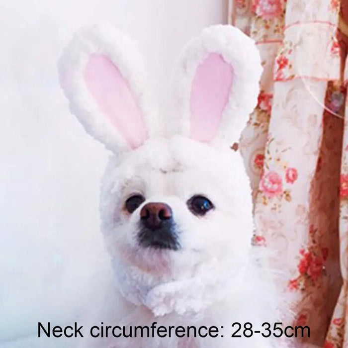 Bunny Rabbit Costume For Cat And Small Dogs