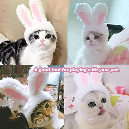 Bunny Rabbit Costume For Cat And Small Dogs