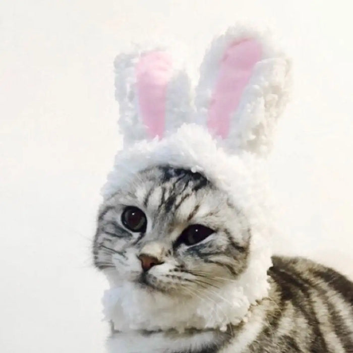 Bunny Rabbit Costume For Cat And Small Dogs